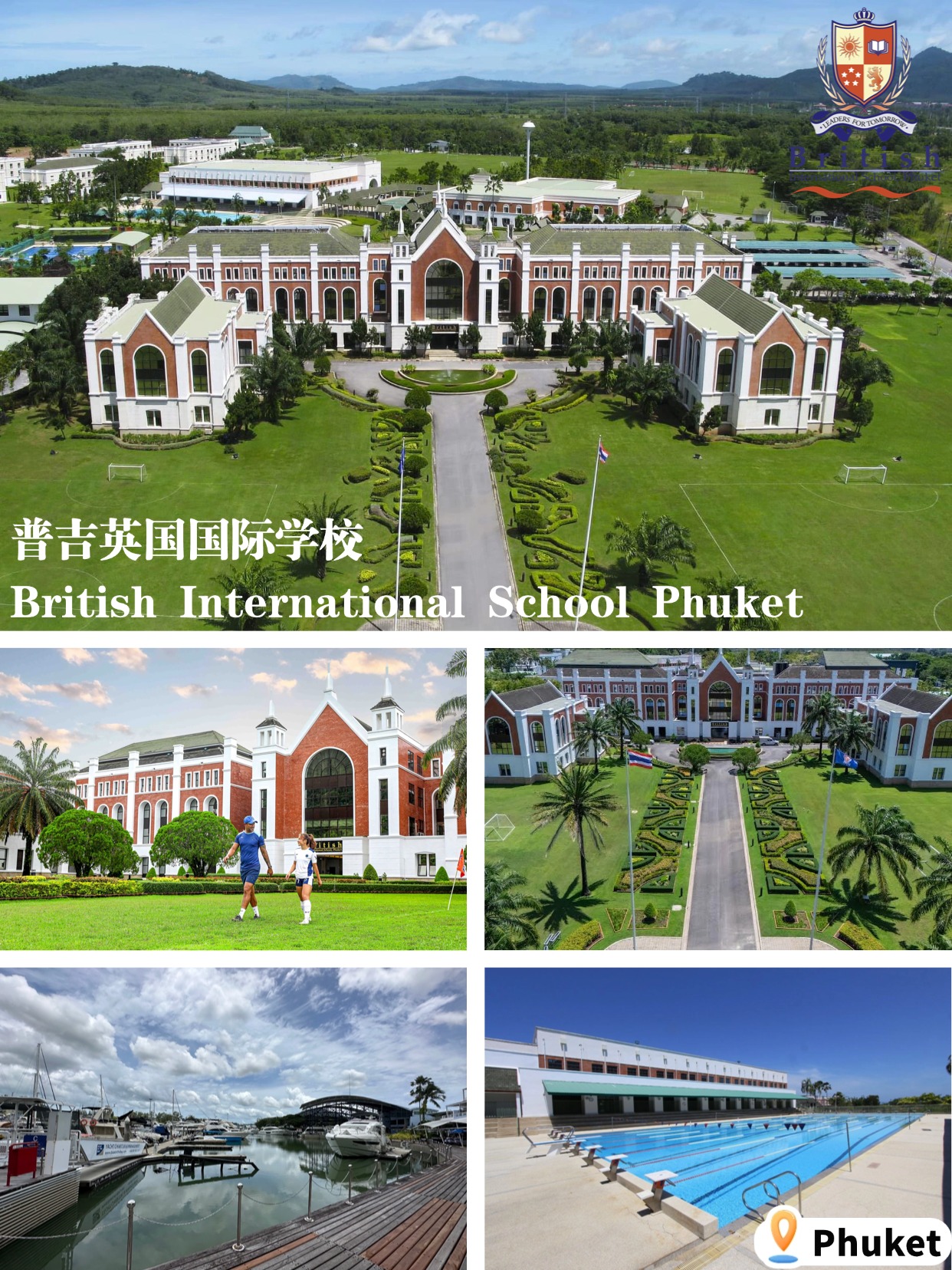 稿定设计-6.jpg